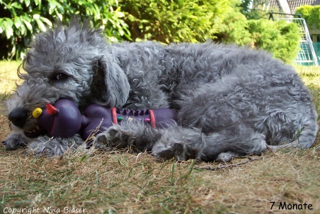 100_3618 - Kopie.jpg